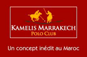 Kamelis Marrakech